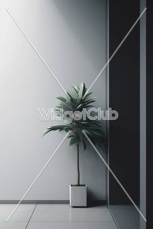 Minimalist Green Plant in a Dark Room