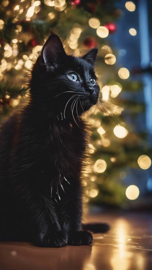 Güzelce aydınlatılmış bir Noel ağacının yanında cicili bicili oynayan siyah bir kedi yavrusu.