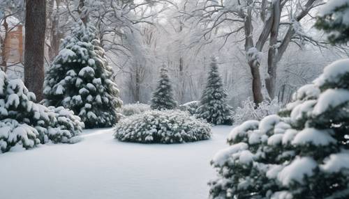 Un jardín de invierno después de una nevada fresca, con árboles de hoja perenne destacando contra la nieve blanca y pura.