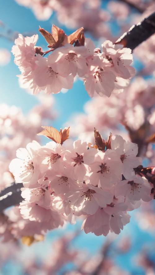 明亮的正午天空下，發光的動漫眼睛倒映著櫻花樹。