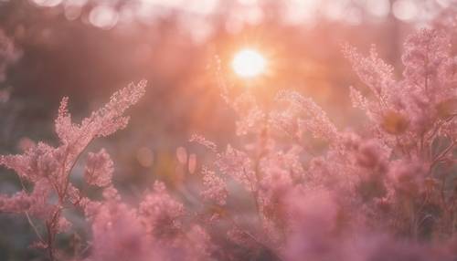 A morning sunrise radiating a light pink aura.