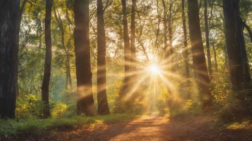 A bright sunrise breaking through a forest, the golden rays carrying the quote 'The only way to achieve the impossible is to believe it is possible'.