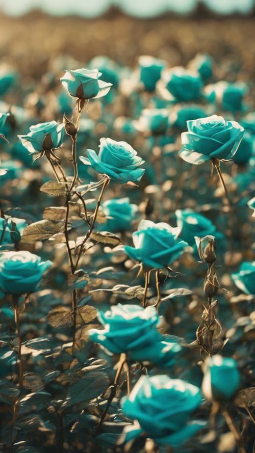 A field of blooming teal roses under a bright morning sun.