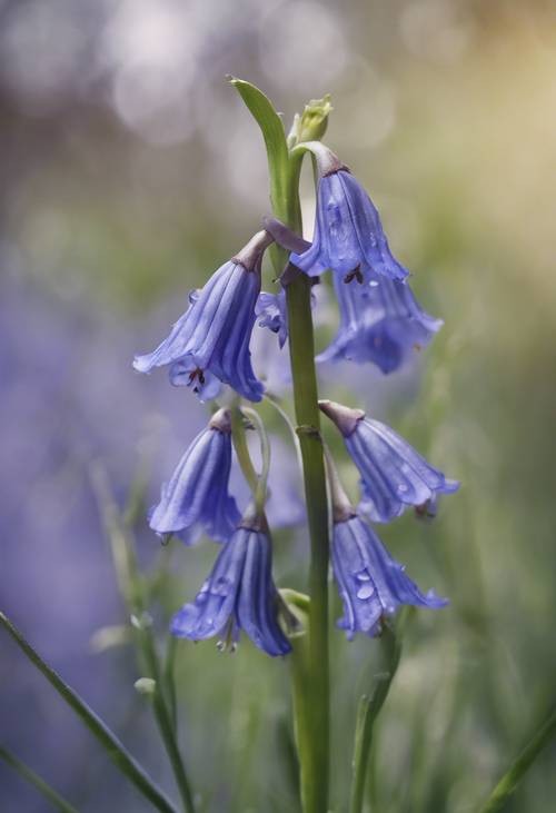 Two bluebells intertwined, symbolizing unity and friendship Tapetai [f5f6d1d36b534c90a4d9]