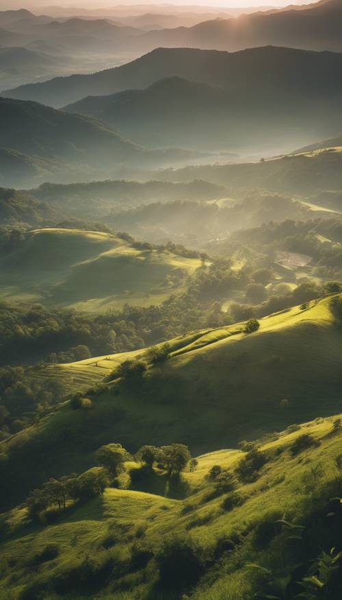 從一座灰色的山頂上眺望，日出時俯瞰鬱鬱蔥蔥的綠色山谷。