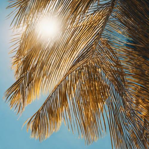 Folha de palmeira dourada portátil contra o céu azul, o sol aparecendo ligeiramente na borda da folha.