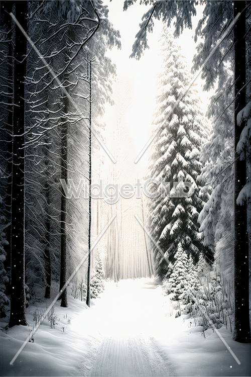 Snowy Forest Path in Winter