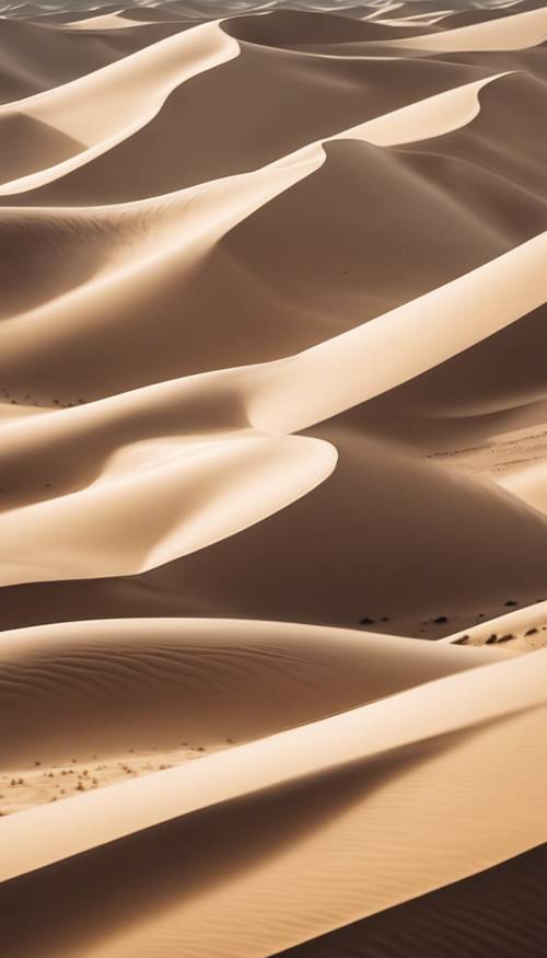 Uma criação sonhadora de uma paisagem abstrata de cor creme, como dunas de areia sob um céu nublado.