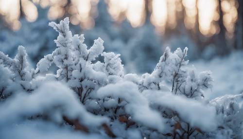 Una scena rilassante di una foresta coperta di neve, il freddo che fa sembrare tutto blu e sereno