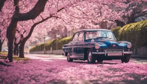 Une voiture bleu marine vintage traînant des pétales de fleurs de cerisier roses un jour de printemps.