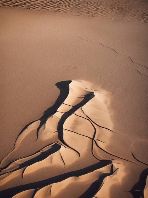 Uma vista aérea do deserto mostrando suas texturas, linhas e padrões sob a luz do dia.