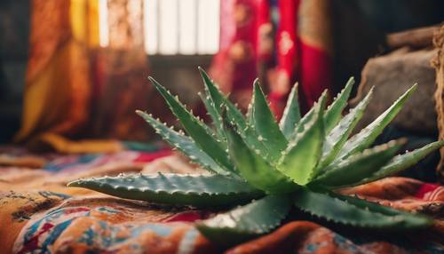 A leaf of aloe vera lying on a pile of colorful boho curtains in a rustic setting.