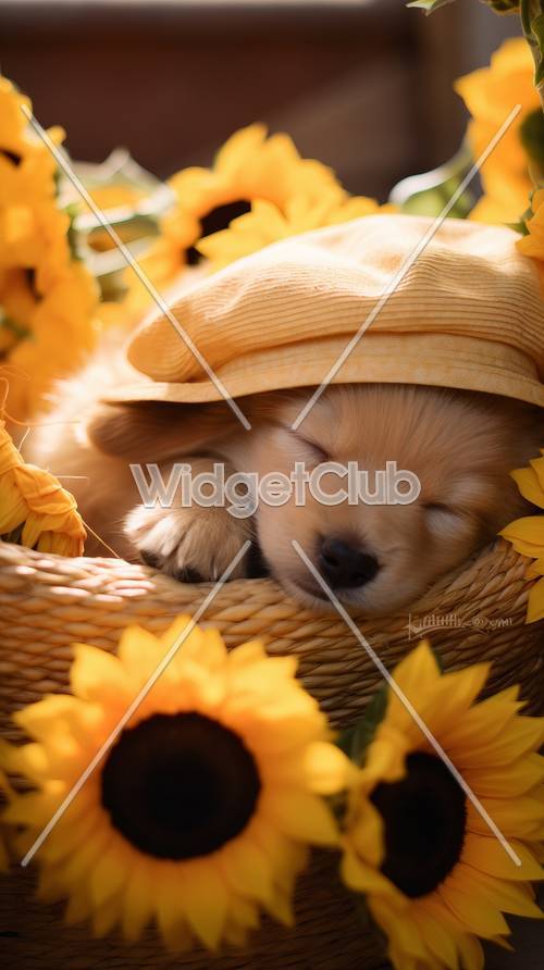 Ayçiçekleriyle çevrili uyuyan köpek yavrusu