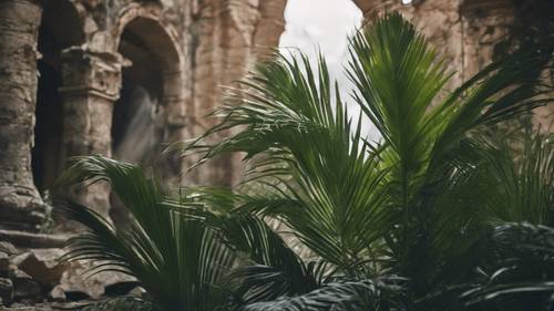 A mystical scene of palm leaves growing between the cracks of an ancient ruin.