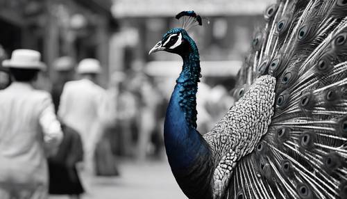 一张黑白复古照片，照片中一只孔雀在熙熙攘攘的维多利亚市场中漫步。