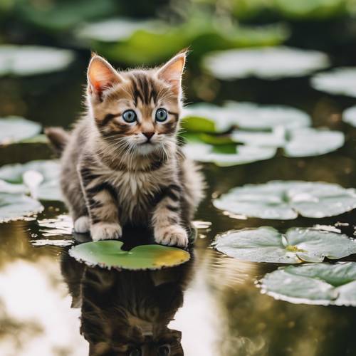 A wide-eyed kitten examining its reflection in a clear pond, surrounded by lily pads.