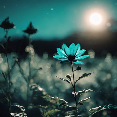צללית של פרח טורקיז שטוף לאור ירח.
