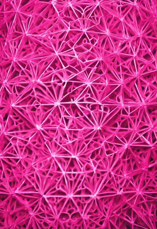 Hot Pink Wallpaper [feee5c761ff54a868799]