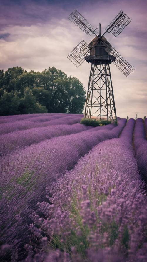 Kincir angin pedesaan di ladang lavender yang sedang mekar mengukir kutipan &#39;Perhatian penuh tidaklah sulit, kita hanya perlu ingat untuk melakukannya&#39;.