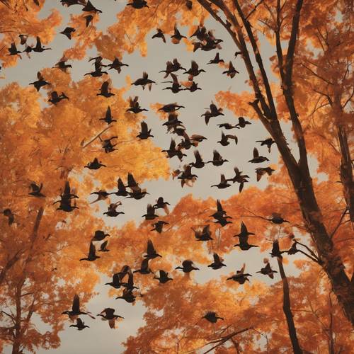 Un enjambre de gansos volando en un patrón muy por encima del follaje de otoño pintado en varios tonos de rojo, amarillo, naranja y marrón.