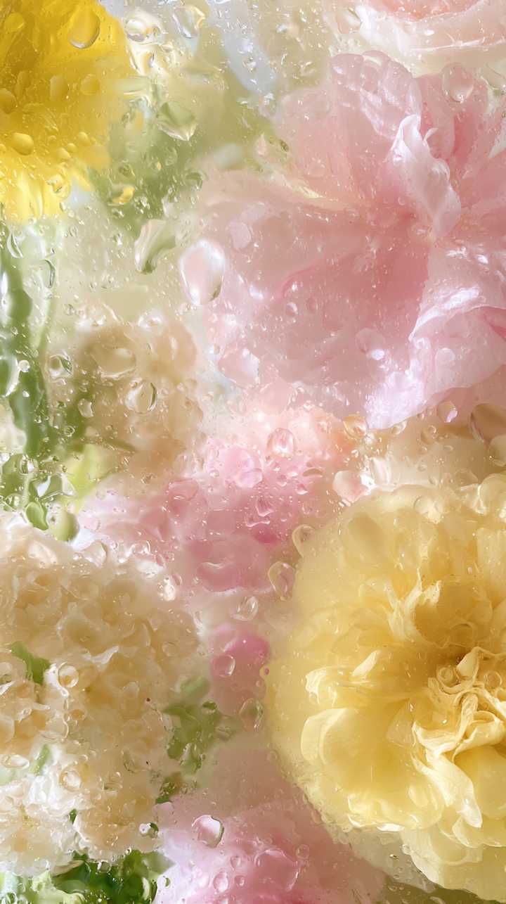 download image