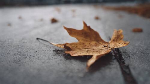 A lonely autumn leaf falling against a grey sky with the script 'Depression is losing myself a little more each day'.