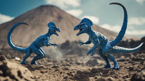 Dua Dilophosaurus biru terlibat dalam duel teritorial sengit di tepi gunung berapi.