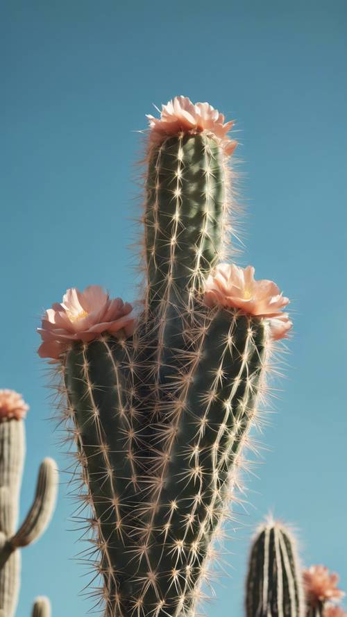 Ambiente minimalista di un grande cactus solitario a forma di petalo che si erge sotto un cielo azzurro e limpido.
