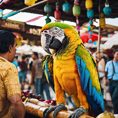 Hareketli bir açık hava pazarının ortasında bir korsanın omzunda tehlikeli bir şekilde dengelenmiş bir Amerika papağanı.