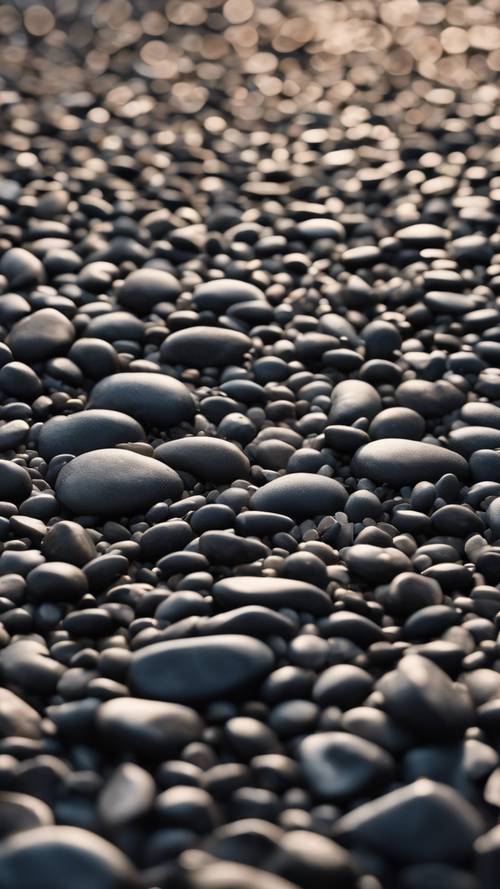 A pathway lined with black pebbles forming a wave pattern".