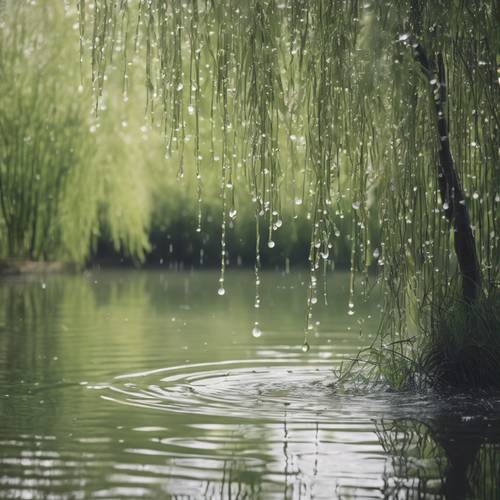 La pioggia cade dolcemente su uno stagno, creando increspature sulla sua superficie, circondata da salici in erba.