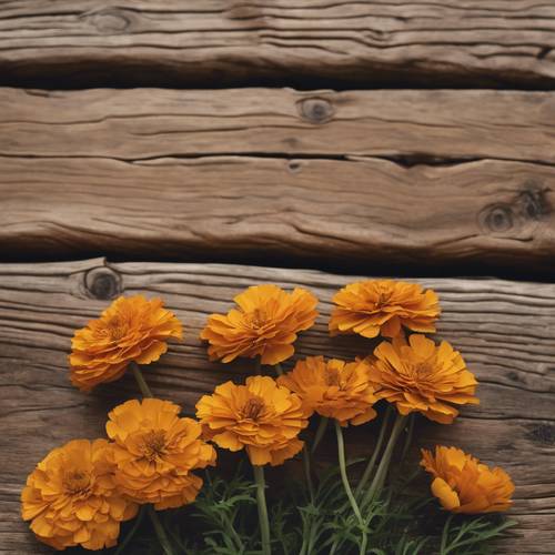 A group of tan marigolds resting in the background of a rustic wooden table.