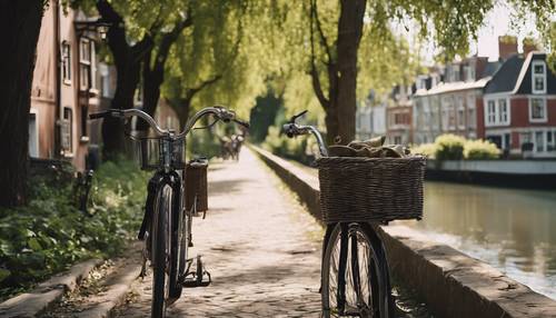 Un tranquilo paseo en bicicleta a lo largo del canal bordeado de frondosos árboles y llamativas casas históricas.