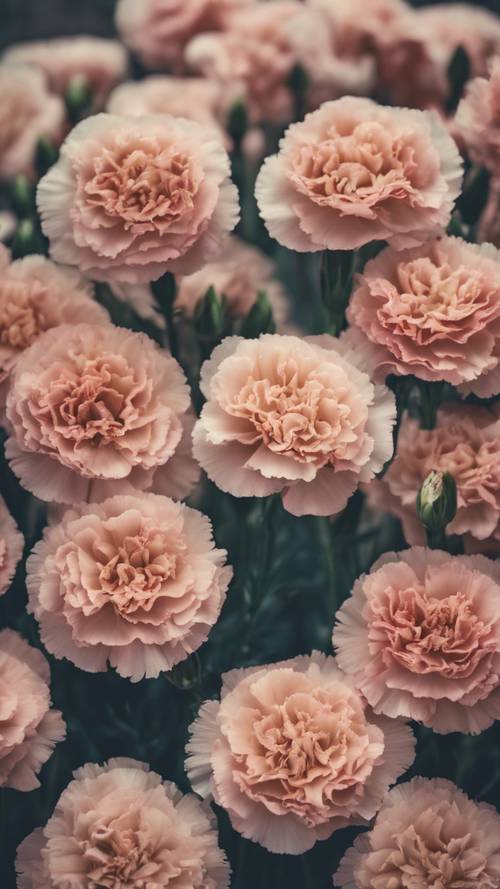 Vintage carnations in a repeating floral design with toned-down colors.