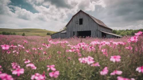 Um celeiro rústico cinza cercado por flores silvestres rosa brilhante