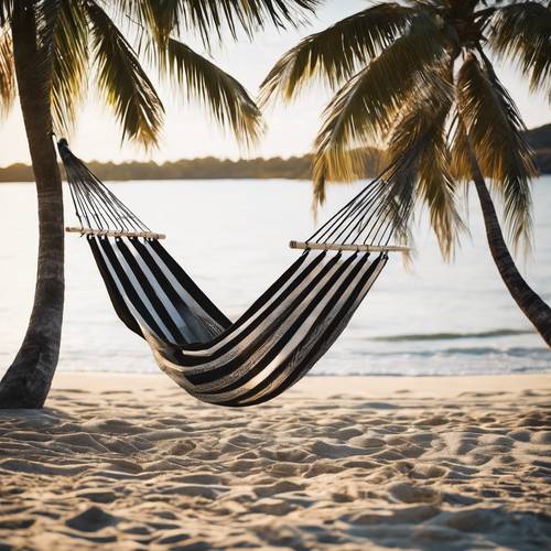 A black-striped hammock hanging between two palm trees on a pristine beach.