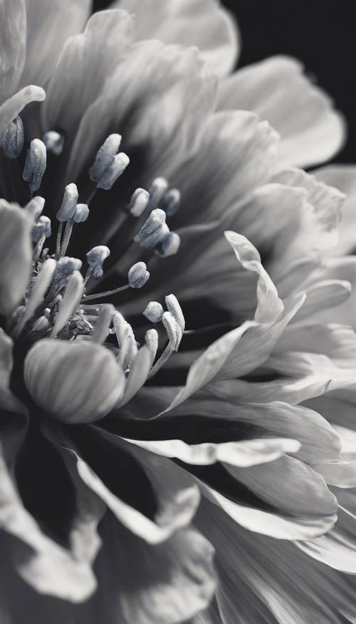 검정색과 파란색 꽃의 예술적인 흑백 사진입니다.