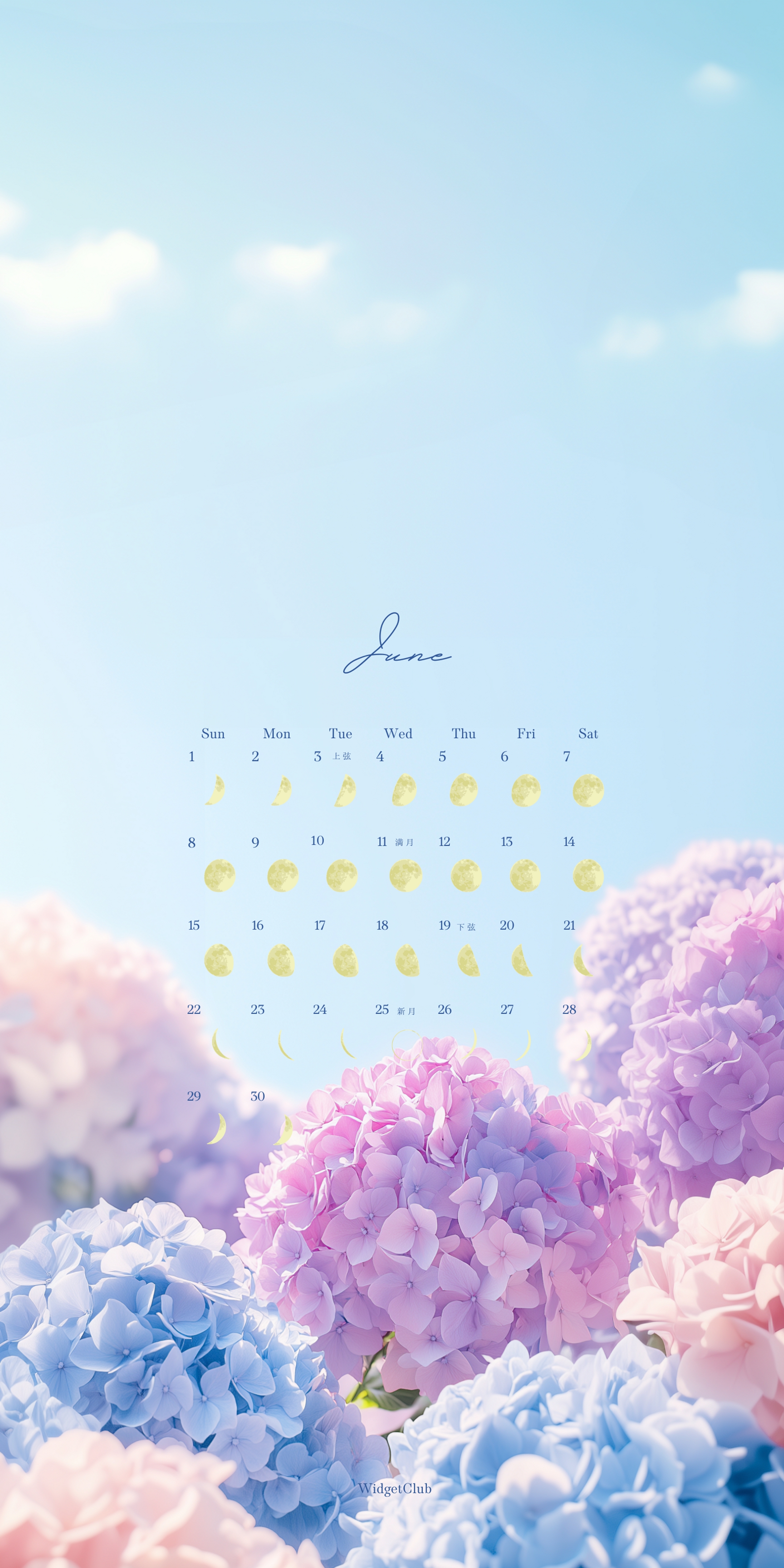 Flower Wallpaper[c10d6cdb1b74423a8dc6]