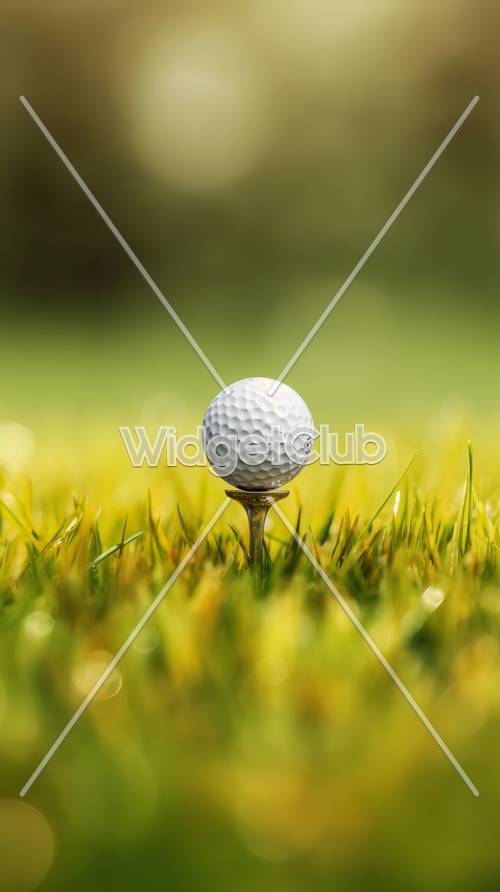 Bola de golfe na camiseta na grama iluminada pelo sol