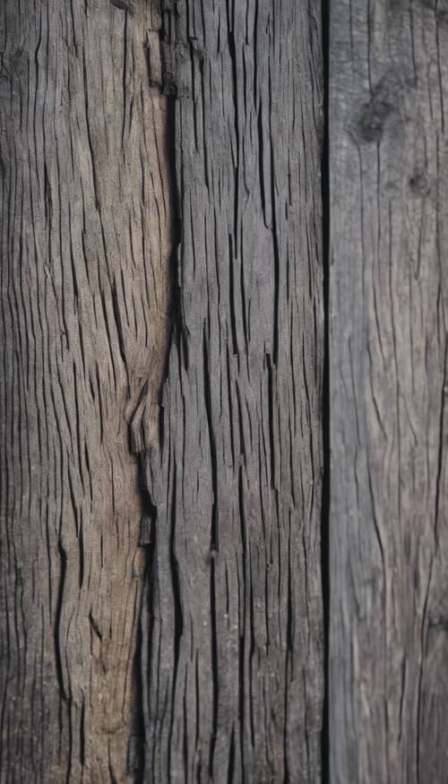 経年劣化した灰色木材の粗い質感にズームイン