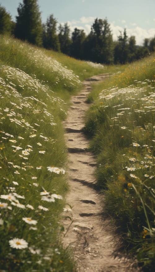 A small footpath twisting its path through a meadow abundant with daisies, leading towards an unknown destination. Wallpaper [d2ae5636d16546fc983c]