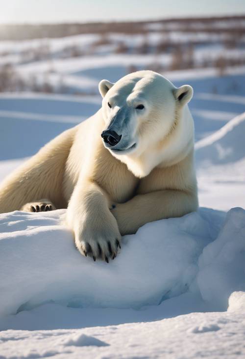 Крупный план белого медведя, мирно отдыхающего на куче снега в тундре, под ясным солнечным небом.