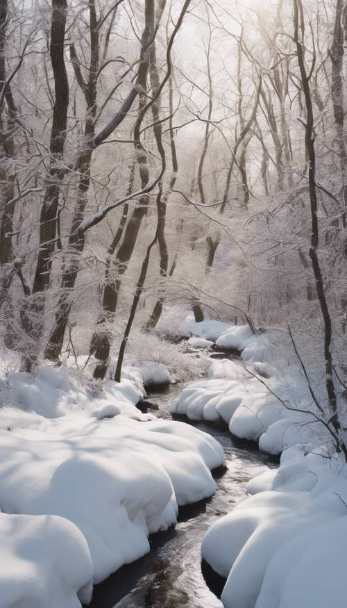 The minimalist scene of early spring, where a brook runs through a hushed forest glazing the untouched snow with its icy flow.