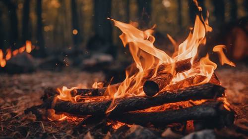 A close-up of a blazing campfire amidst a forest, with orange flames flickering in the night".