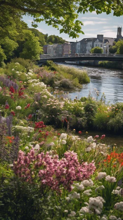 Fitzgerald Park Cork, en pleine floraison avec des plantes à fleurs et une variété de flore colorée, avec la rivière Lee qui coule à côté.