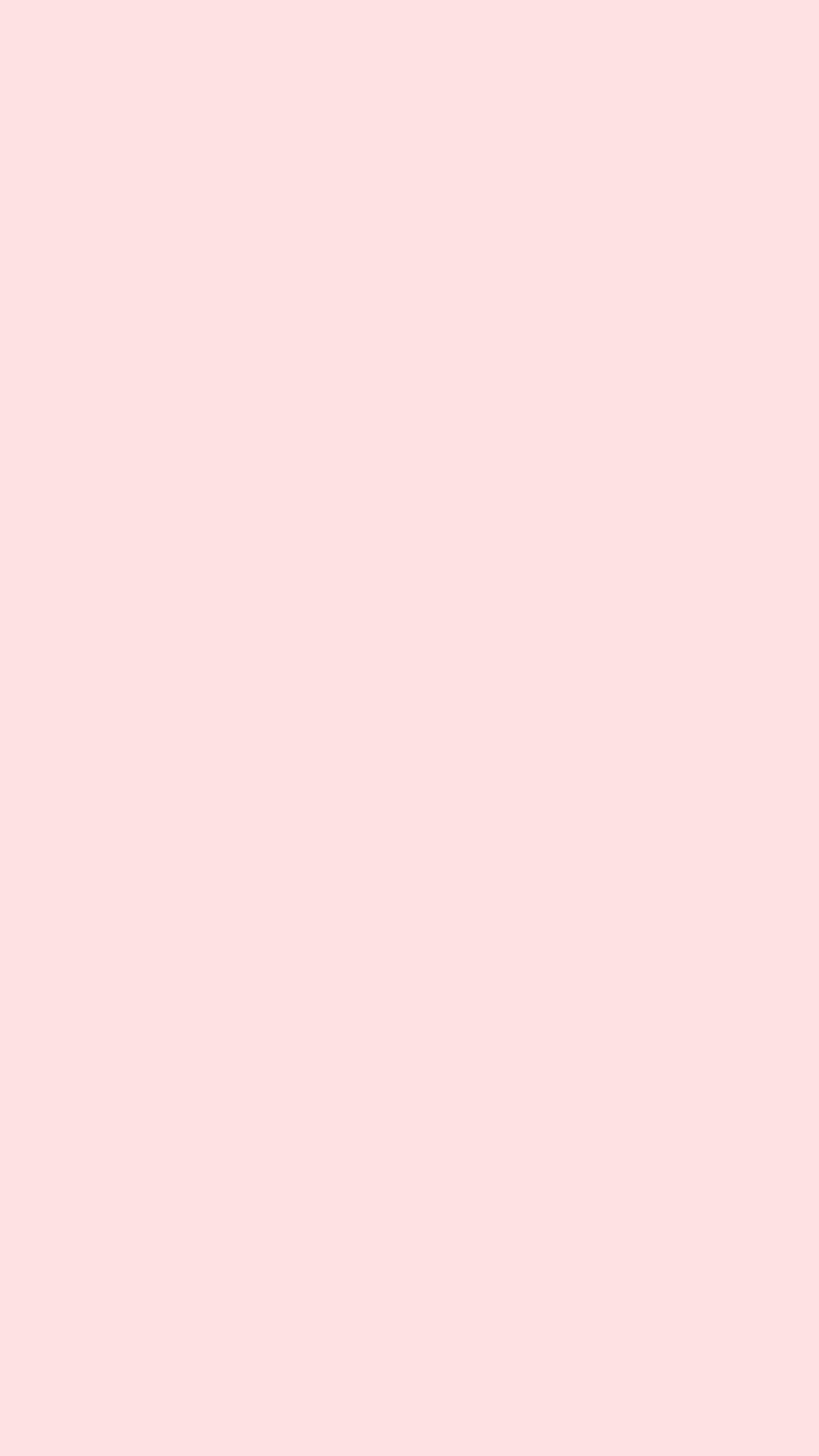 Bright Pink Color Block Sfondo[6a3347ad4a50427ba000]