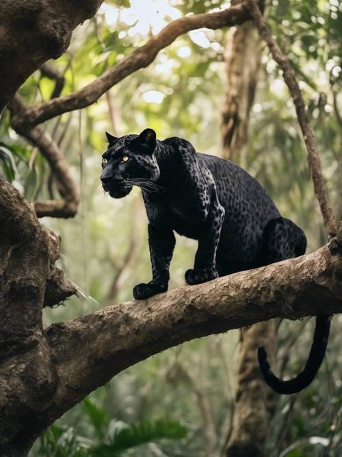 Свирепый черный леопард стоит на дереве тропического леса.
