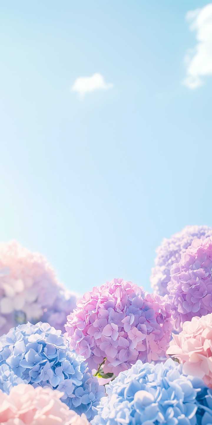 download image