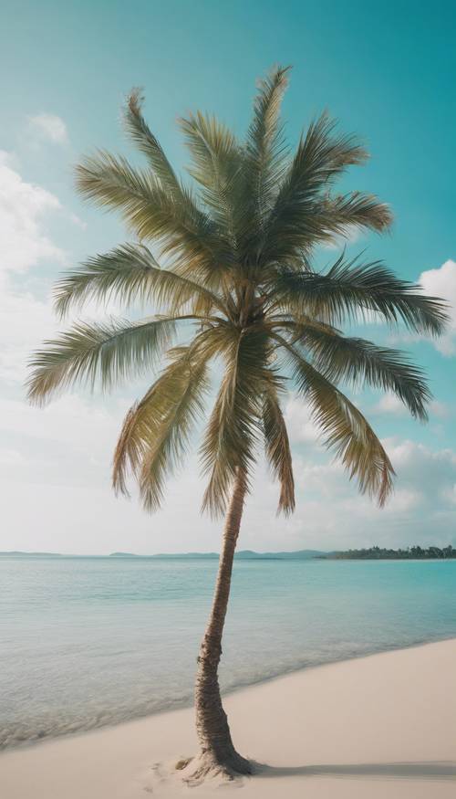 一棵風景如畫的白色棕櫚樹坐落在寧靜的沙灘上，海水充滿活力的碧綠海水