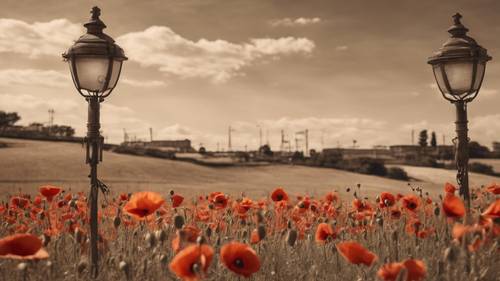 A landscape captured in sepia tones featuring poppies field under old styled streetlights.
